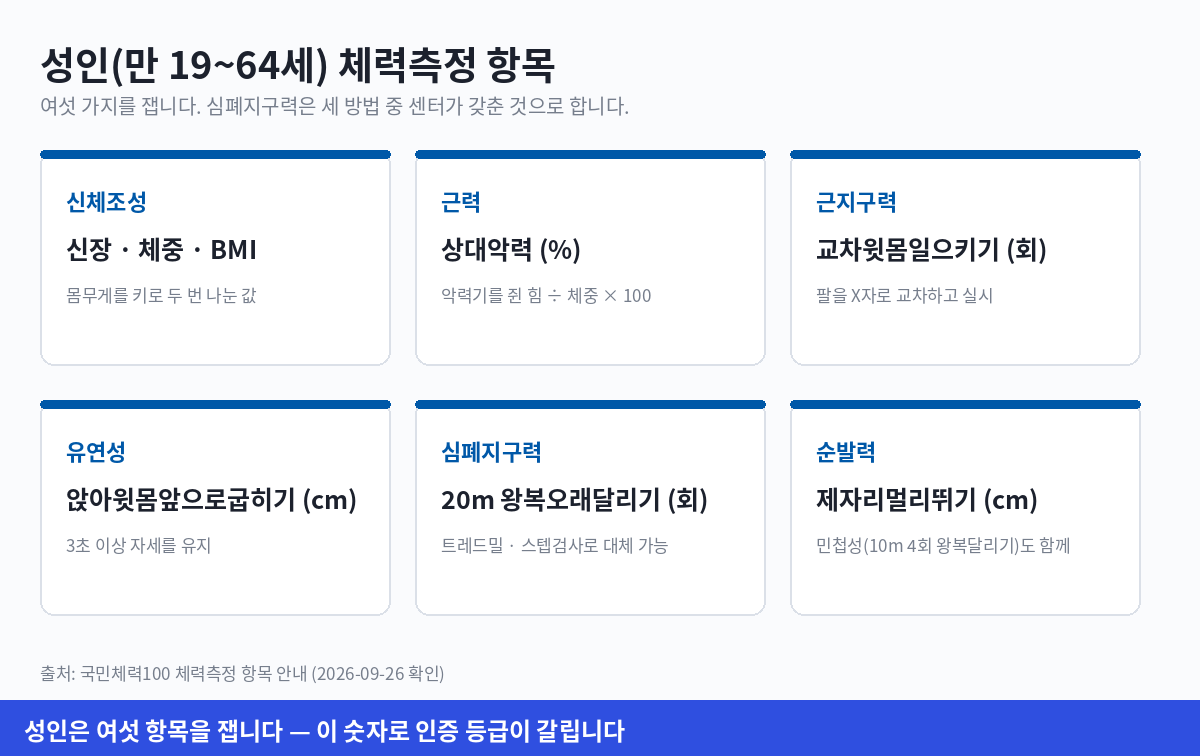 국민체력100 성인 체력측정의 신체조성 근력 근지구력 유연성 심폐지구력 순발력 여섯 항목을 정리한 그림
